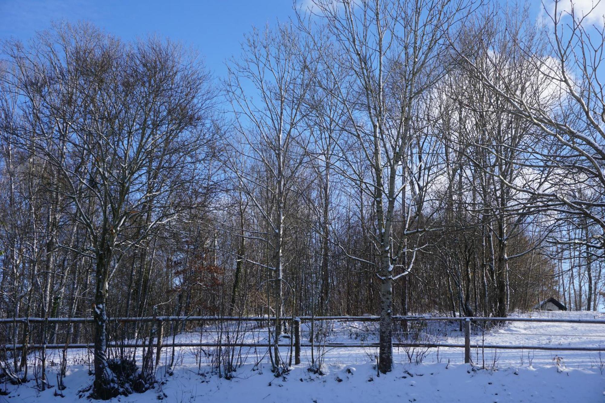Chalet Waldzeit Zachenberg ภายนอก รูปภาพ
