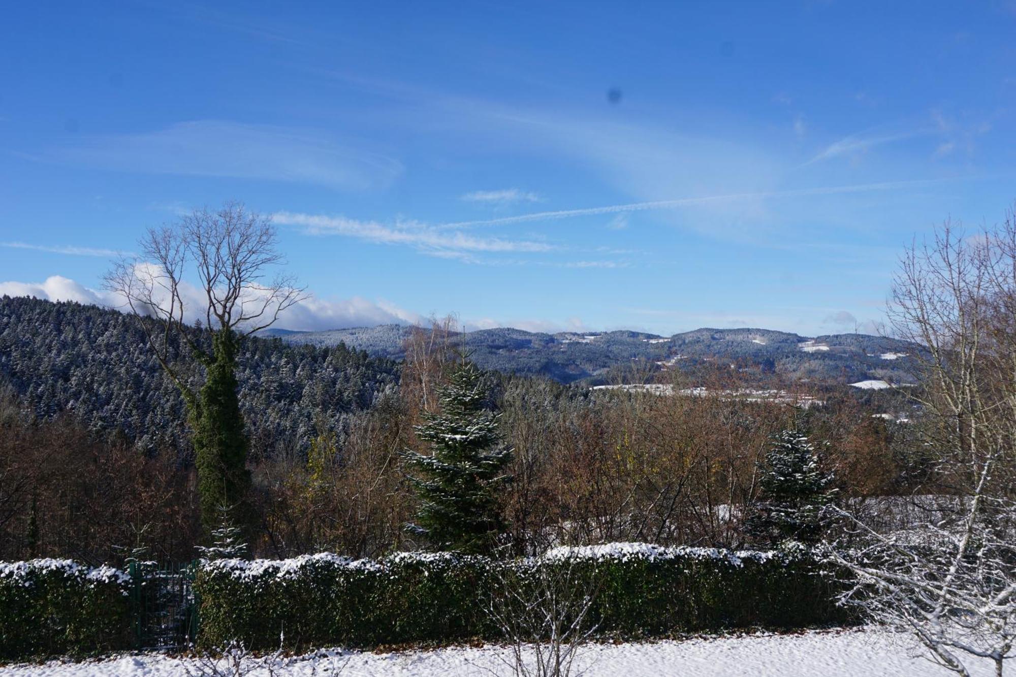 Chalet Waldzeit Zachenberg ภายนอก รูปภาพ